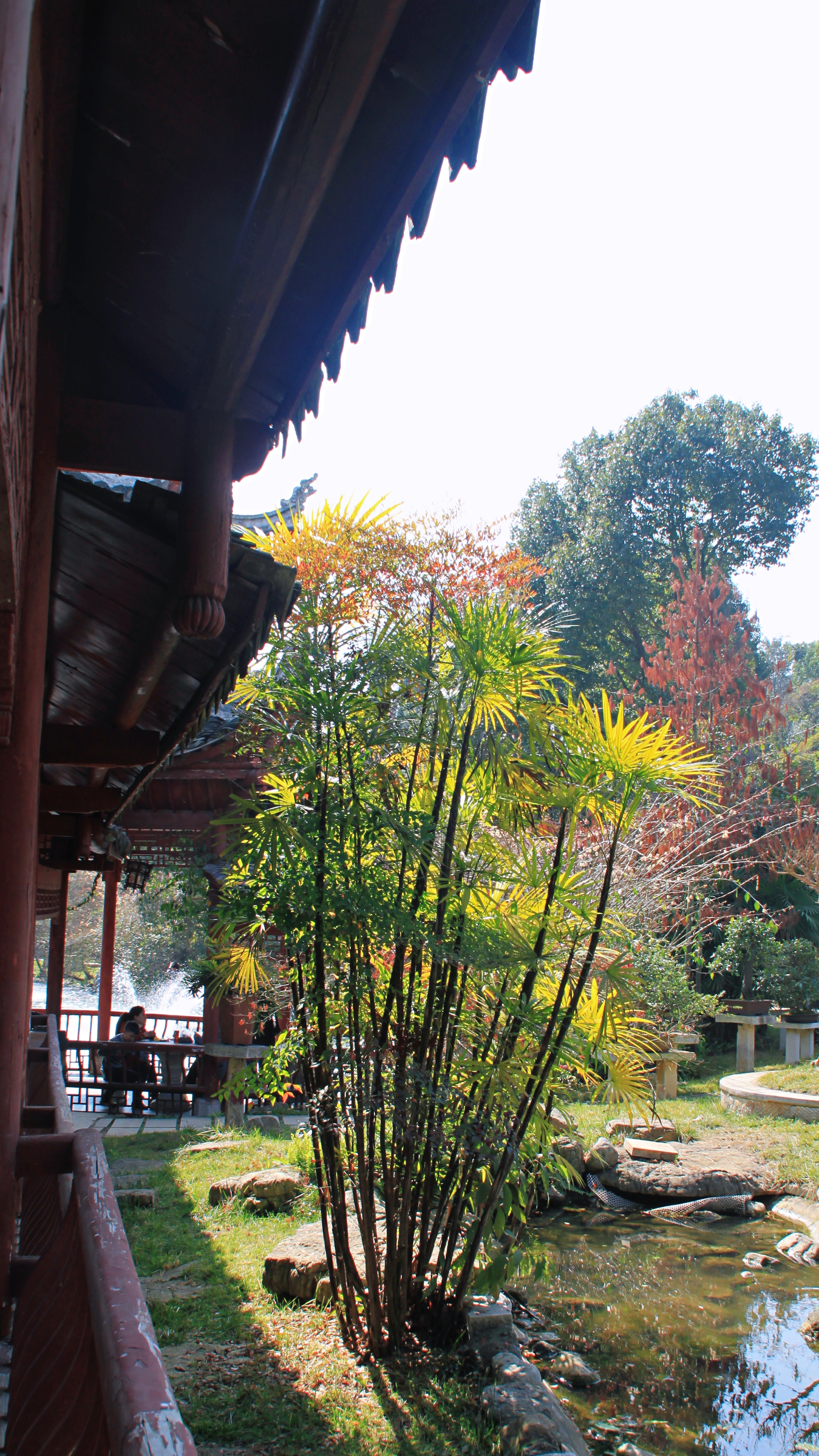 多彩贵州黄果树苗寨,多彩贵州黄果树风景区