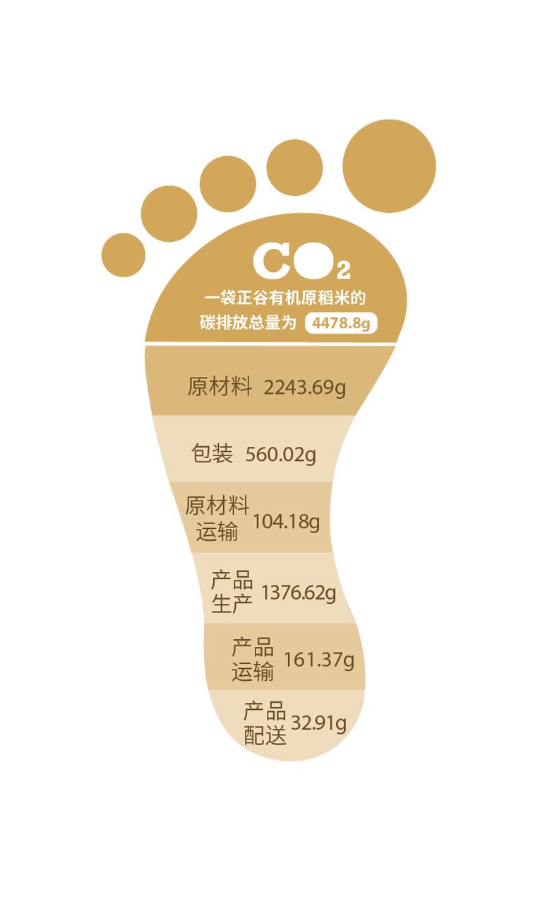 五常稻米原粮稻花香2号,原粮稻花香2号五常稻米