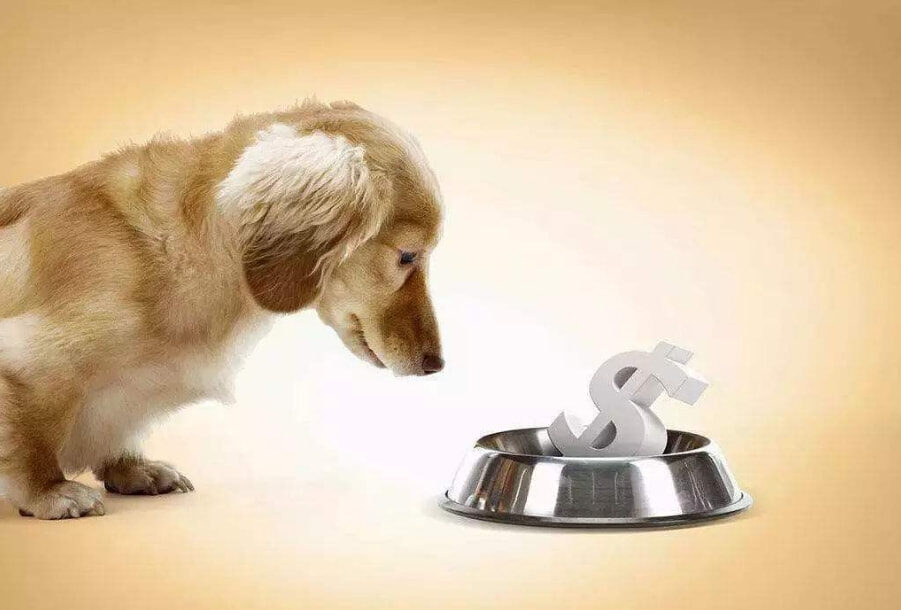 资本化的爱诺宠物医院，莫要一切向“钱”看