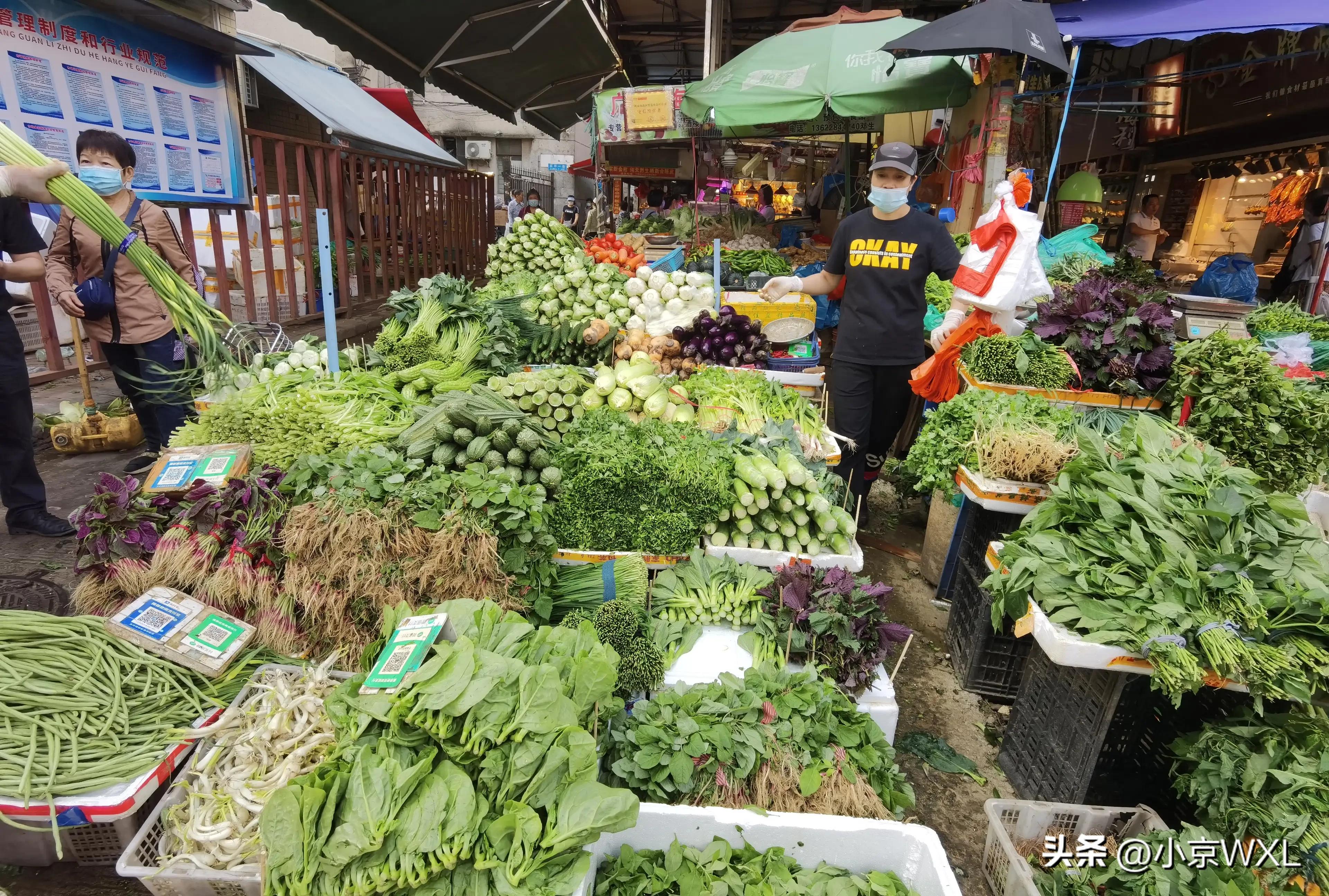沙园市场在哪里,沙园市场最新动态