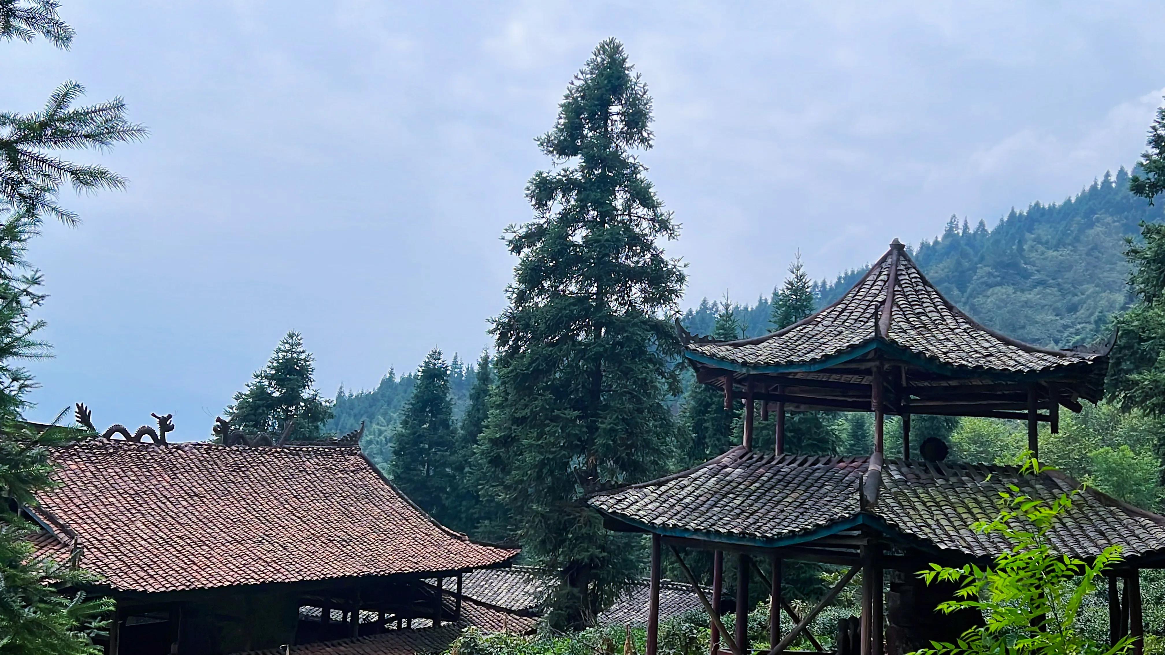 自以为美的中考命题：《是你，让我超越了平常的自己》