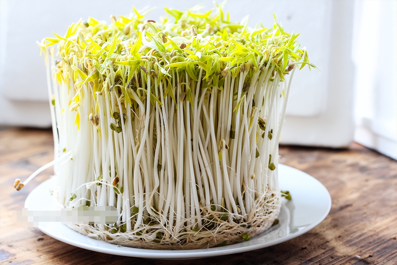 豆芽发苗神器,家用豆芽机发豆芽菜的简单方法