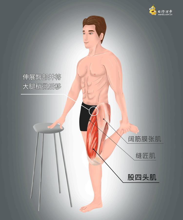 人老腿先老的锻炼方法动画,人老先老腿最全练腿攻略来了