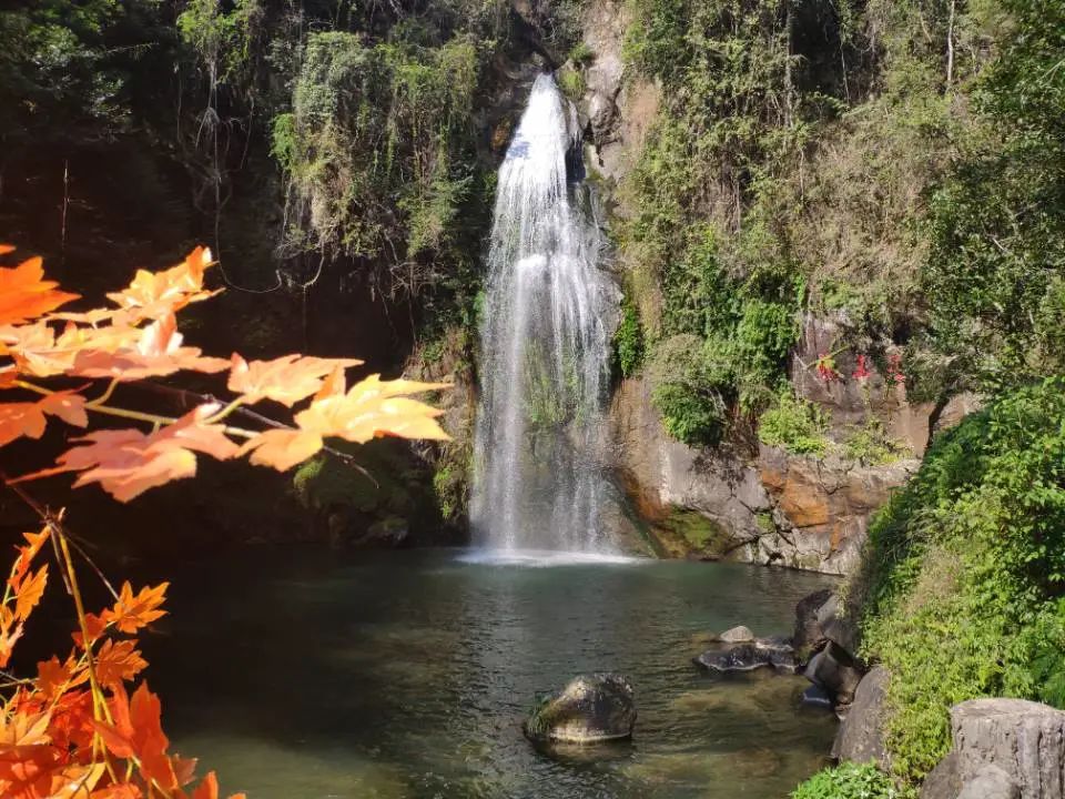 letsgo一周目攻略,letsgo图鉴攻略