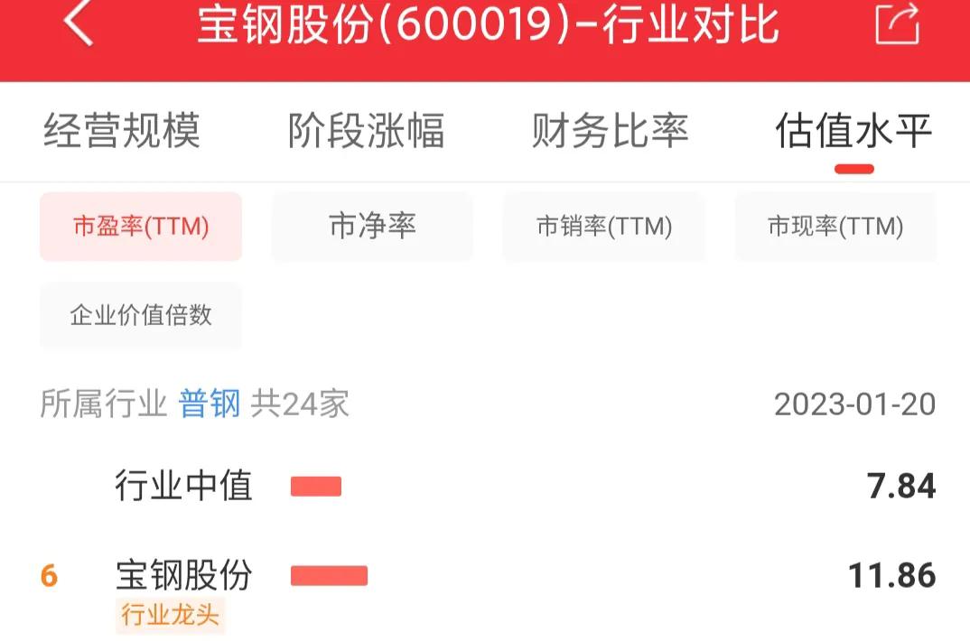 600019宝钢股份千股千评,600019宝钢股份的未来