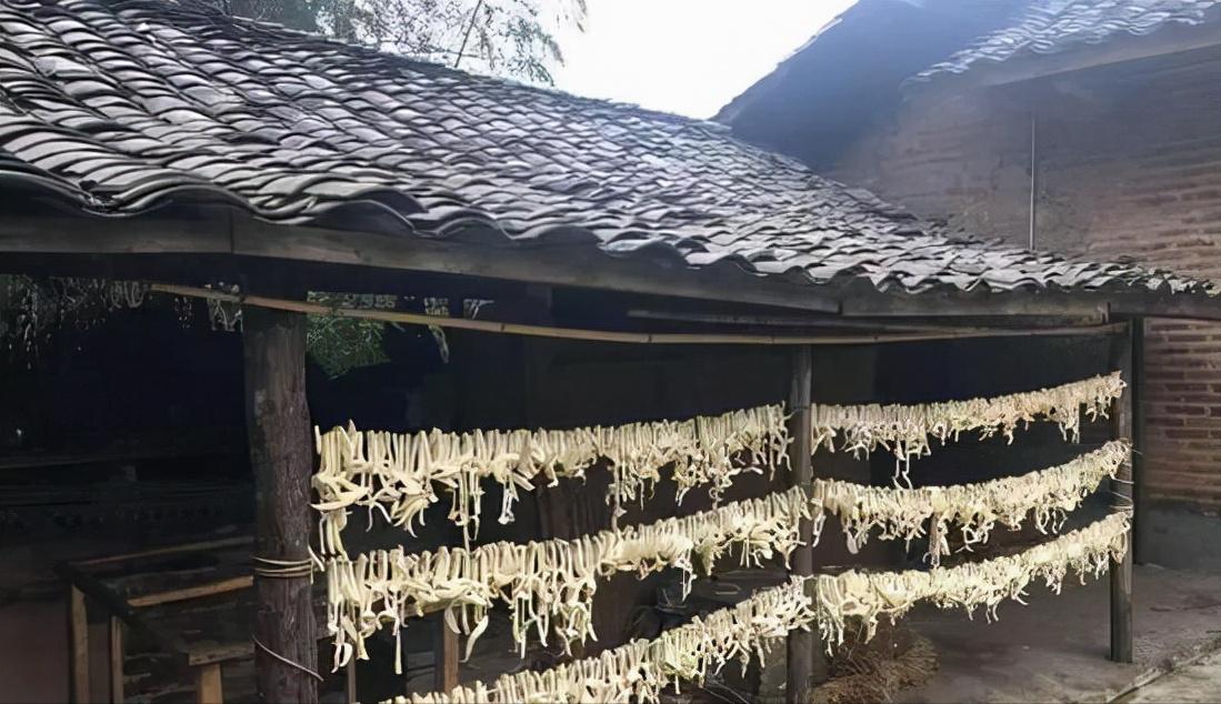 在国外乞讨的四川小伙,四川小伙在巴西回国