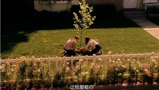 见字如面爱你的人自然会爱你,见字如面爱自己是浪漫的开始