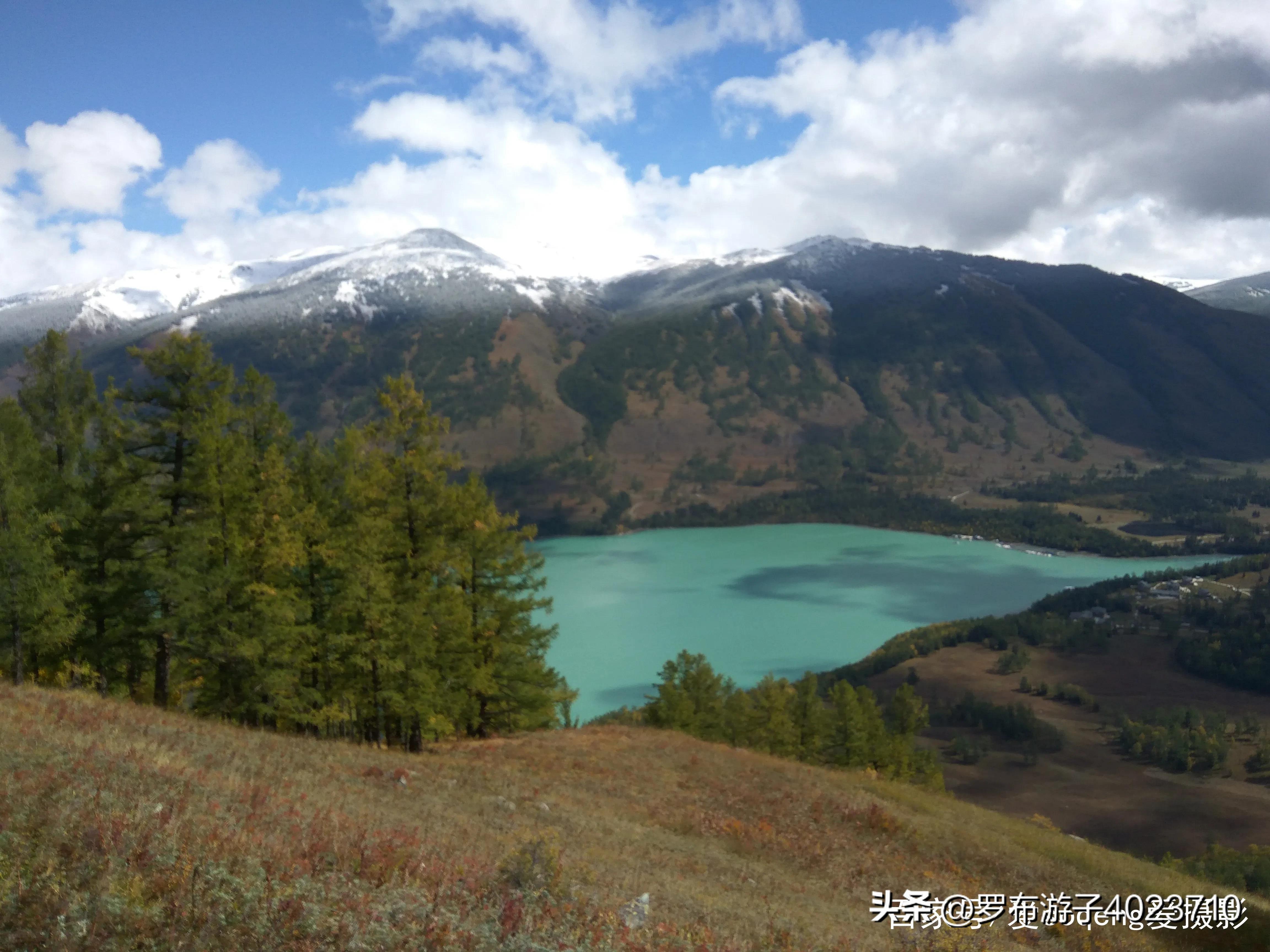 伊力大老窖和小老窖,泸州老窖和伊力老窖