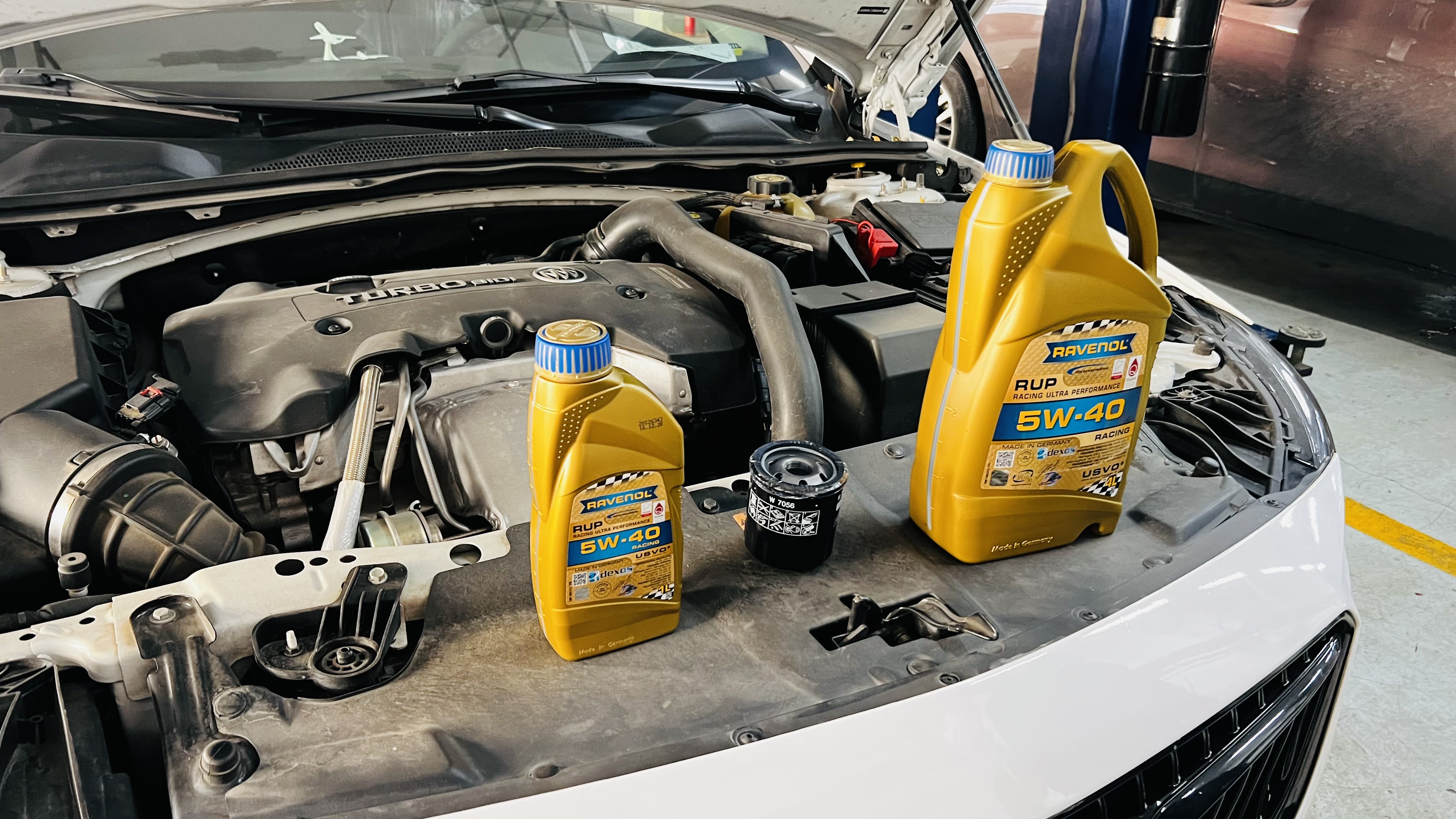 艾伦养护注意事项,艾伦怎样养护