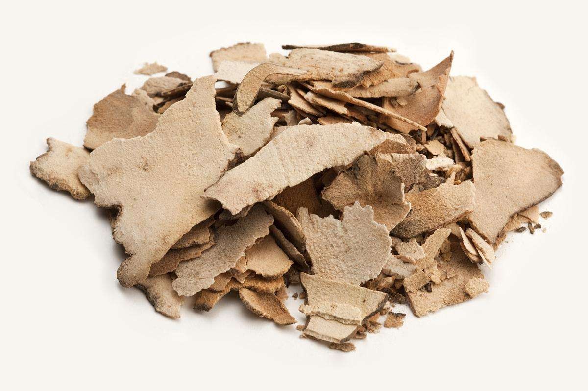 湿热下注型糖尿病偏方,中医中药治湿气重糖尿病