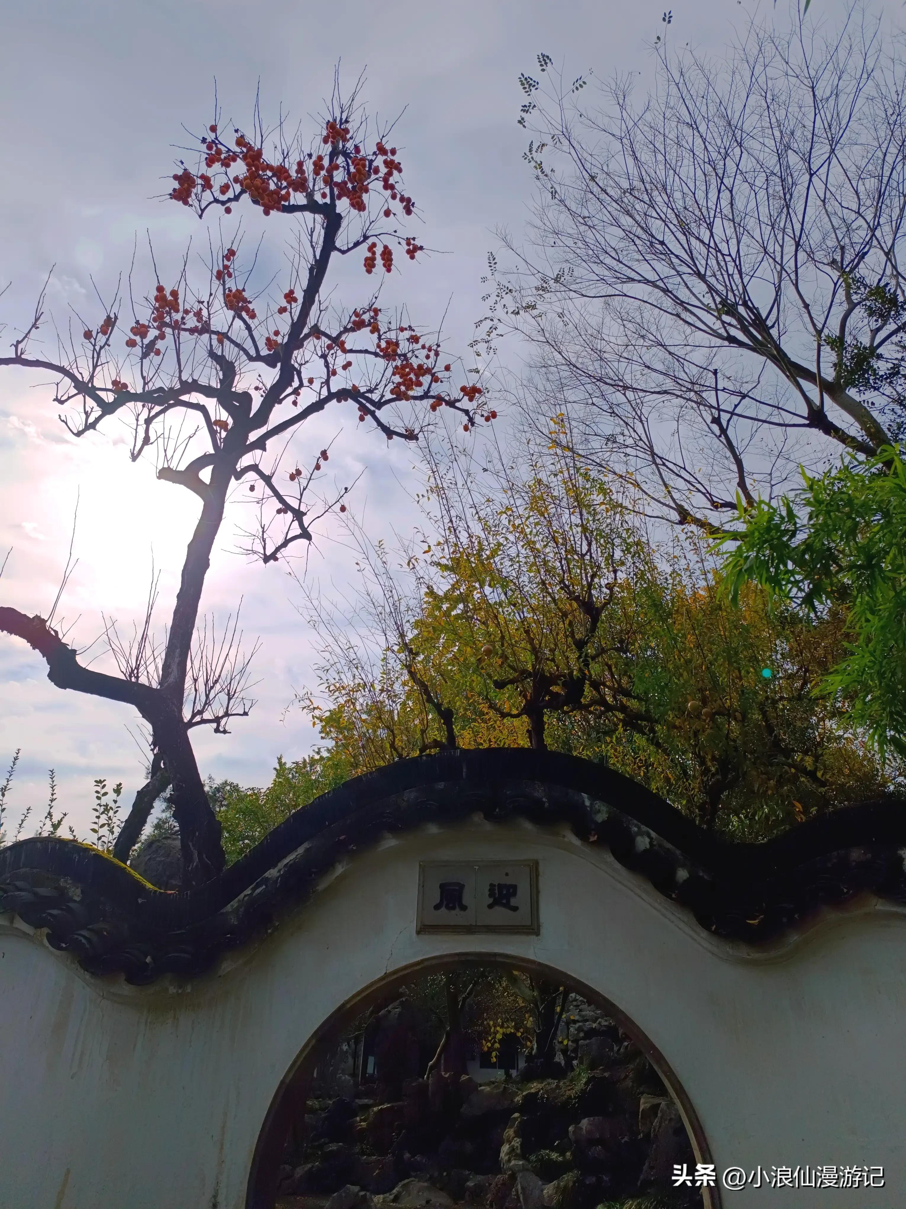 苏州园林怡园拍摄地点,苏州园林里的怡园是什么