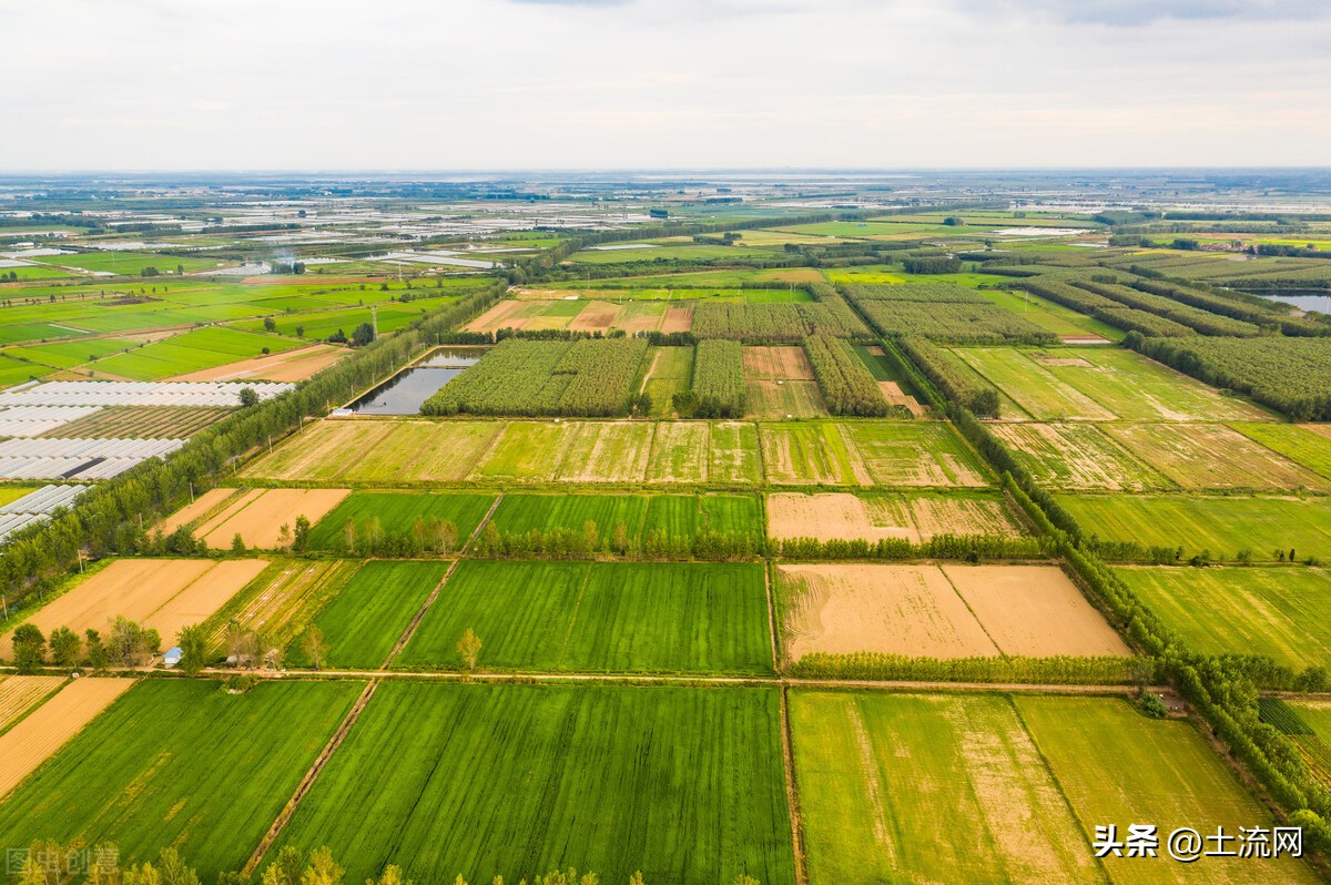 2022年占用基本农田所有补贴价格,高标准农田补贴多少钱一亩