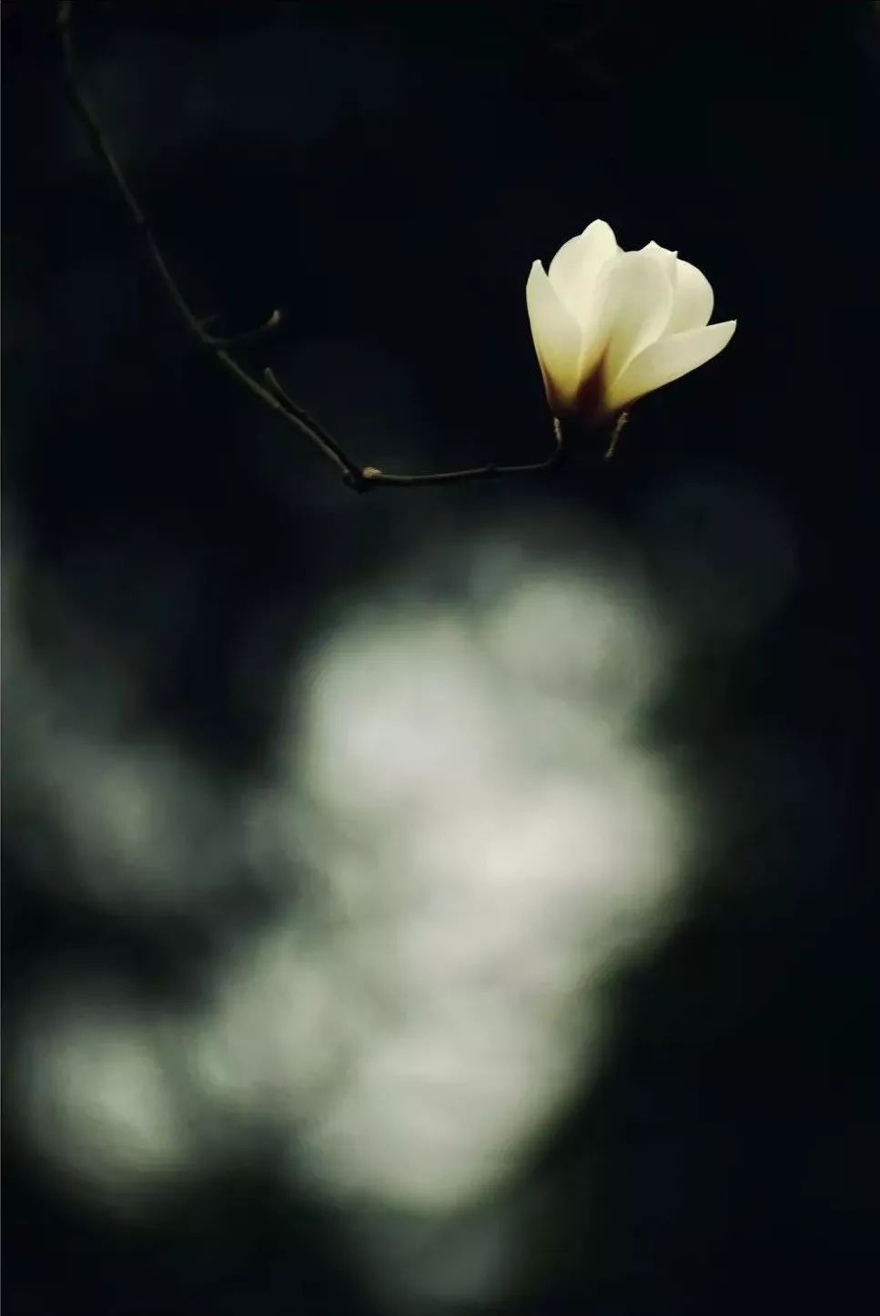 如何不用ps就让照片能眨眼睛,降低照片曝光ps