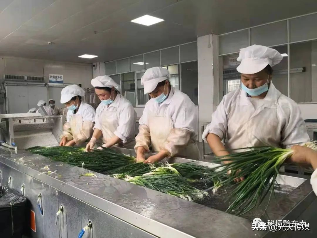 丹寨县营养餐配送,黄平县学生营养餐