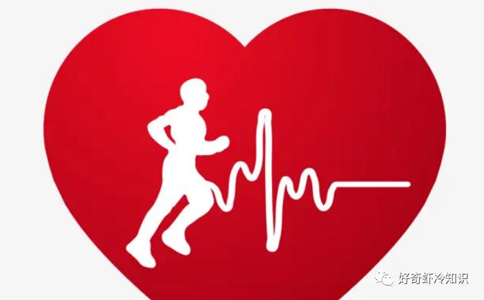 心跳快为什么有助于减肥,心跳加快饿得很快怎么回事