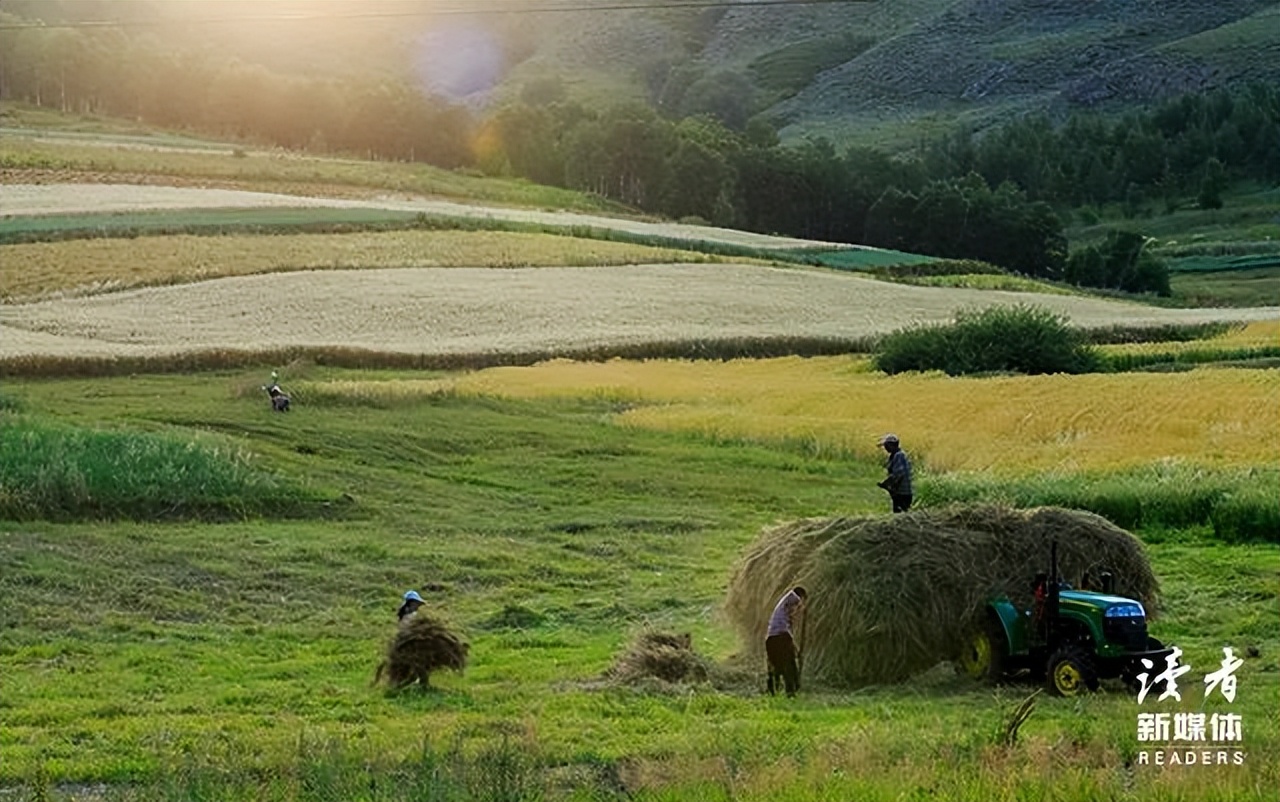 成年人的生活充满了清醒与克制,清醒克制是成年人最好的自律