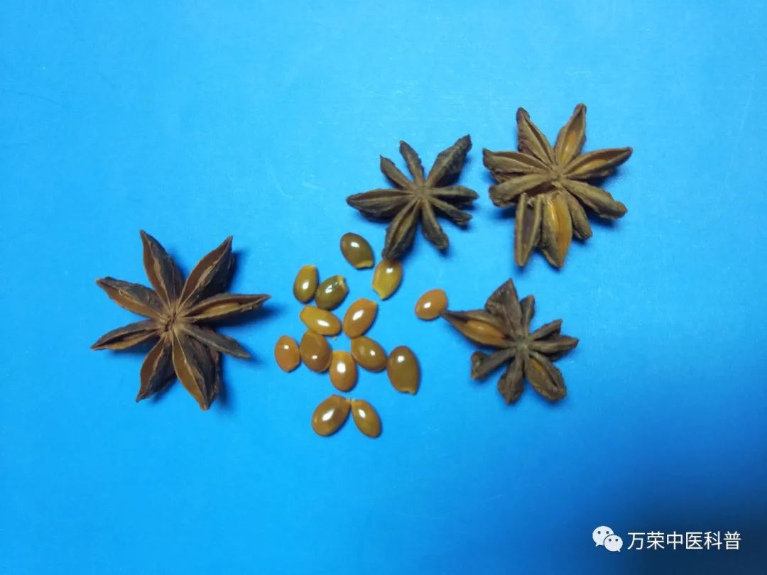 既是中药又是调味品都有哪些,中药调味料有哪些