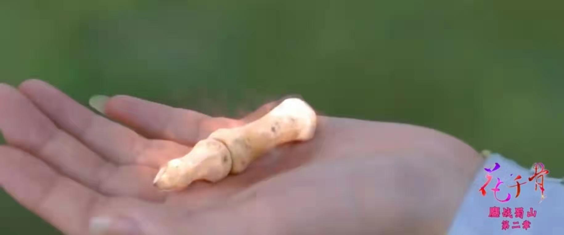 为什么杀阡陌对花千骨那么好,花千骨最后一次见杀阡陌