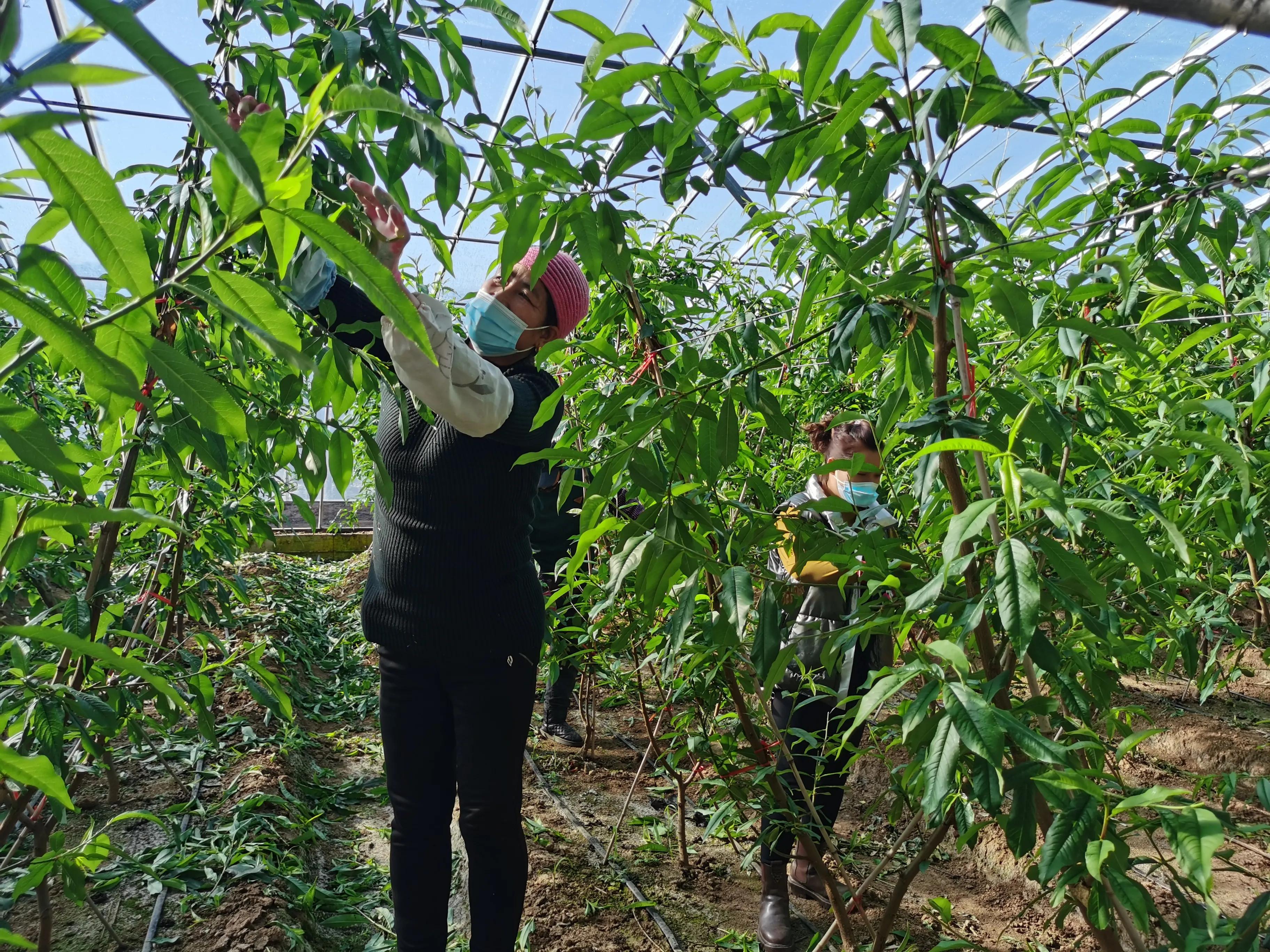 辽宁葫芦岛最新疫情防控情况,葫芦岛企业疫情防控工作