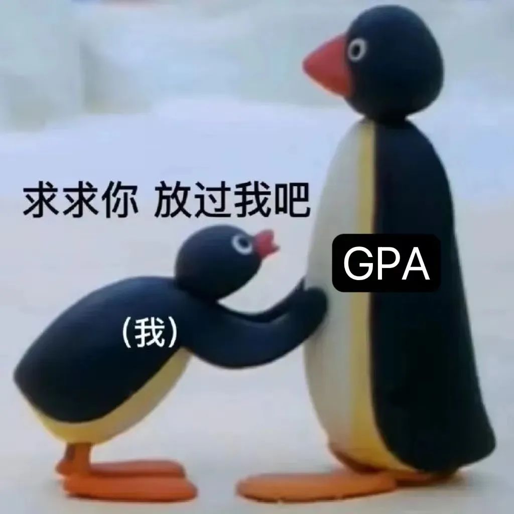 被BU、OSU无情脆拒，GPA垫底的我，低分逆袭拿下Top34“罗村”