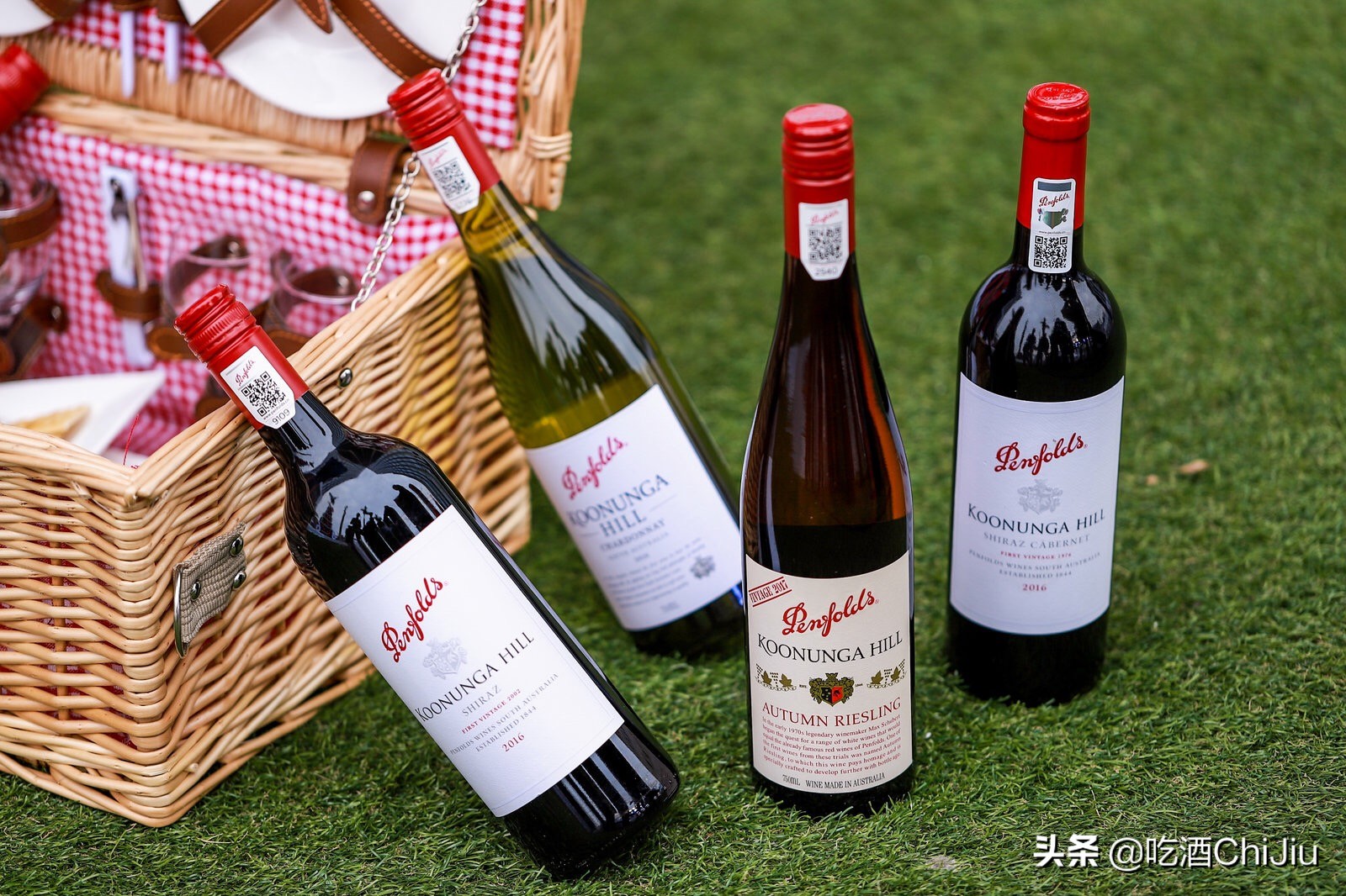 奔富葡萄酒怎么样,奔富葡萄酒知识大全