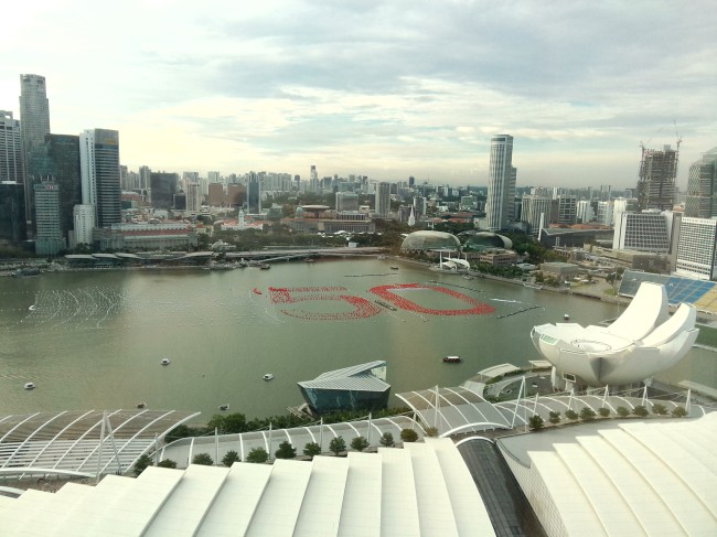 新加坡南洋理工大学,新加坡国立大学