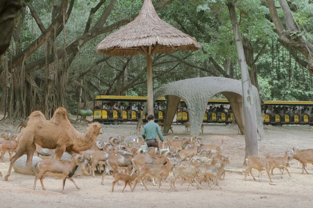 奇了怪了，究竟是什么宝地让广州老饕们也净爱往这钻？