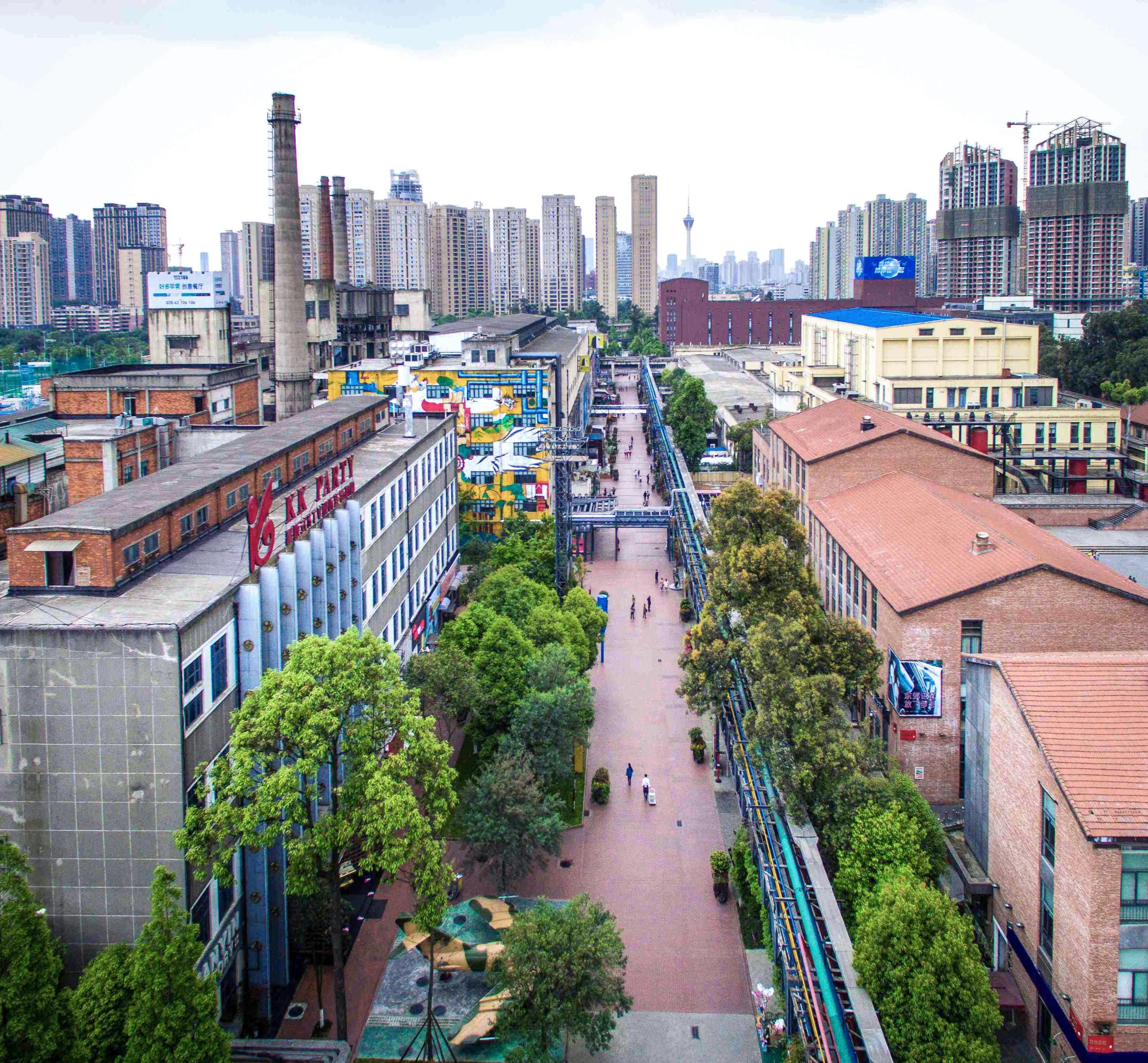 成都成华区熊猫基地在哪儿,成都熊猫基地老城区推荐