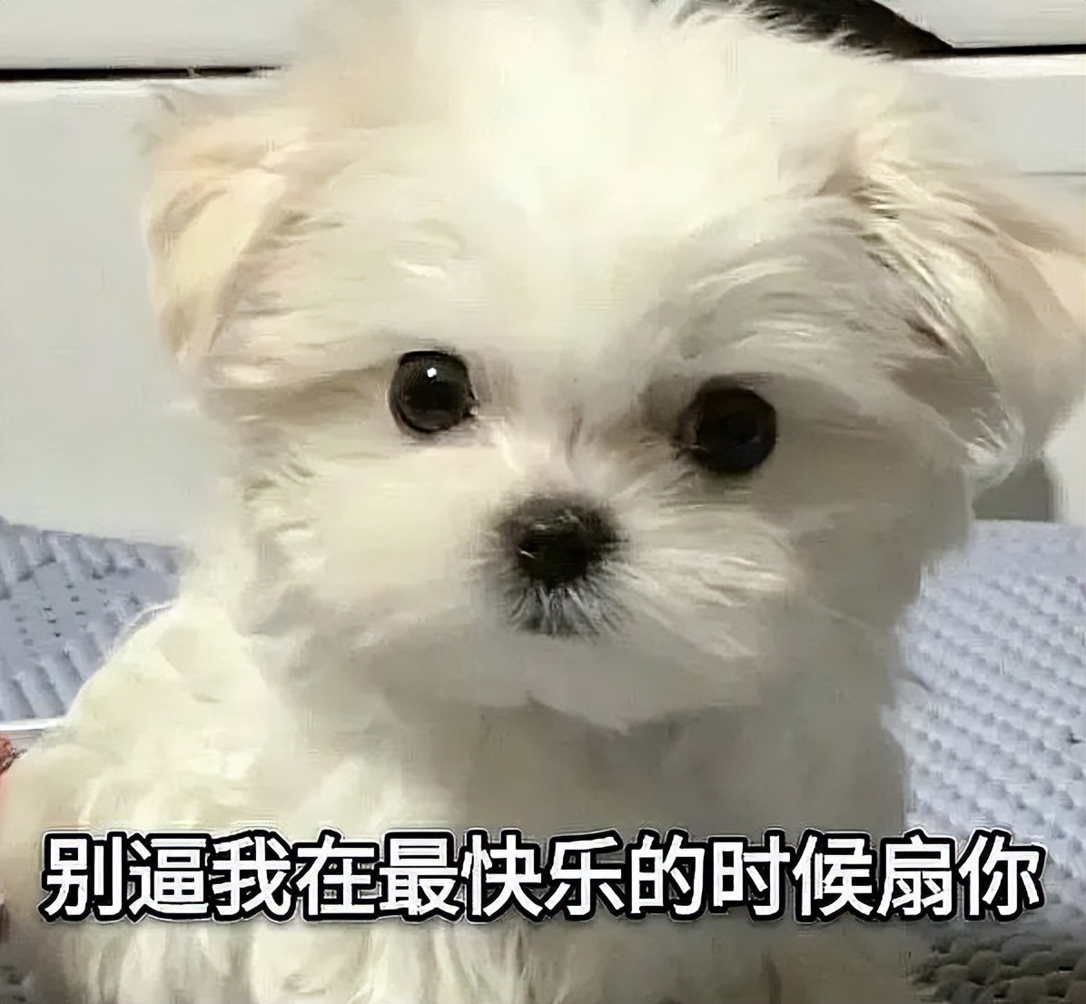 徐嘉余和土土怎么认识的,徐嘉余和土土怎么认识