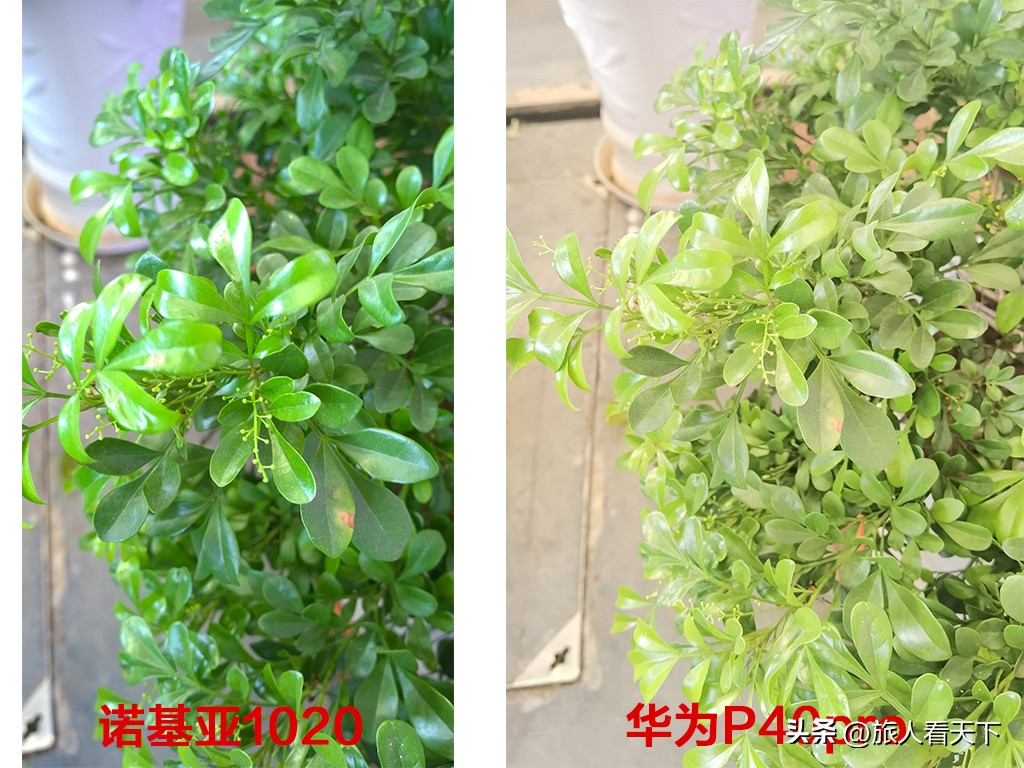 p70拍照对比诺基亚1020,诺基亚1020对比苹果14pro