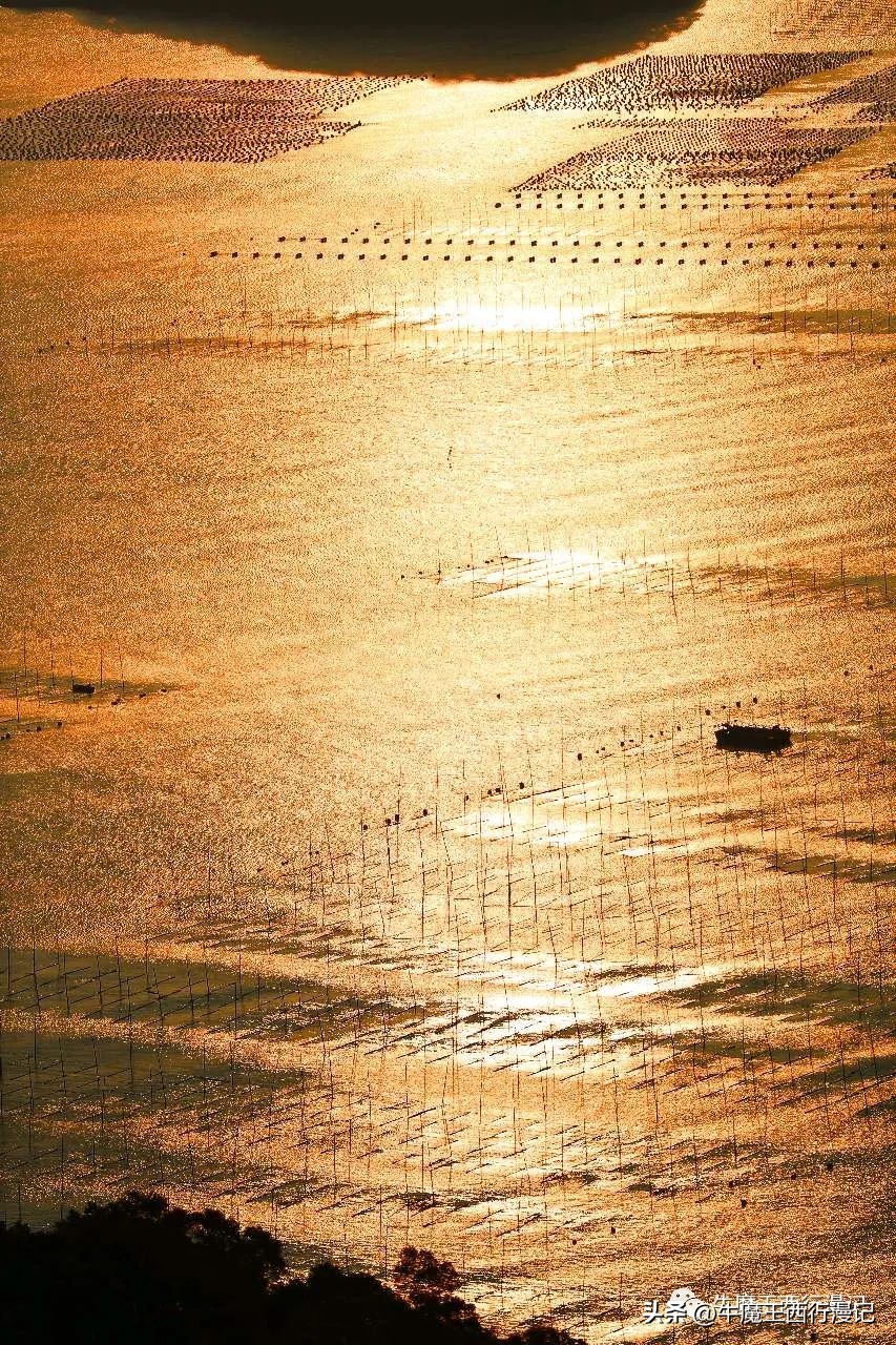 朝霞最美,最美朝霞歌曲