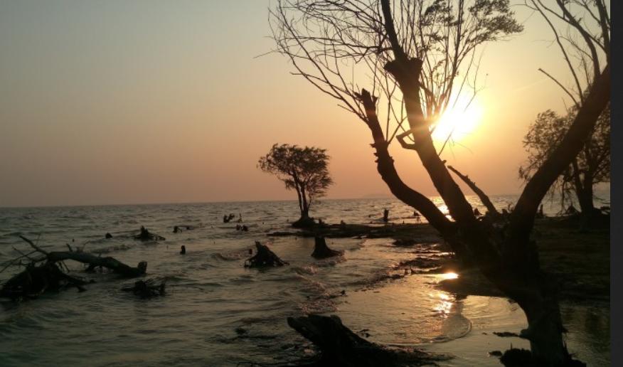 合肥旅游景点大全排名榜前十名,合肥哪些旅游景点春节期间免费