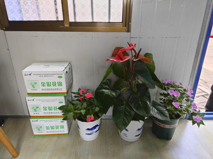 基层治理热起来暖起来,基层治理有温度为民服务更走心