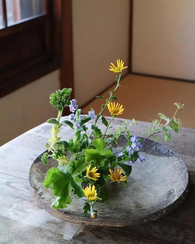 不会插花的句子,不会插花怎么办