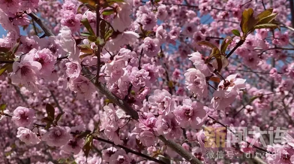 没想到附近也有这么美的风景,美丽的风景近郊旅游的好去处