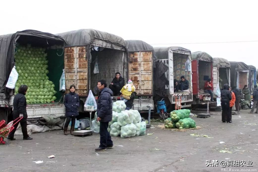 蔬菜供货持续增加菜价季节性下滑,蔬菜倒卖注意事项