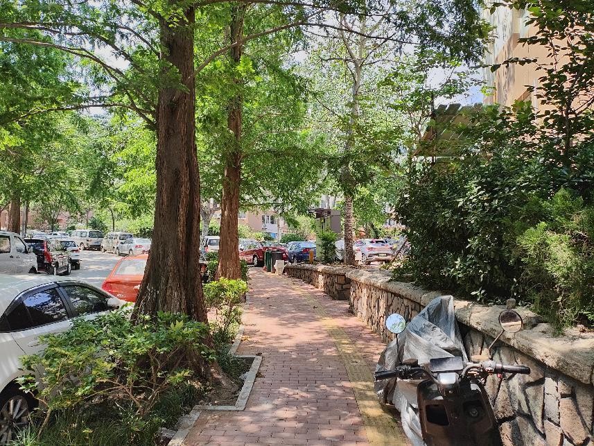 motorazr40ultra上手,motorazr40ultra值得买吗