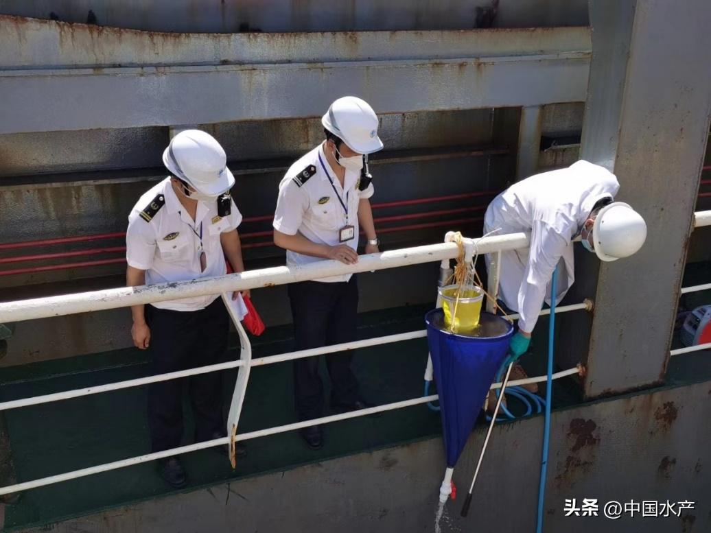 水生外来物种入侵防控工作方案,水生动物防疫