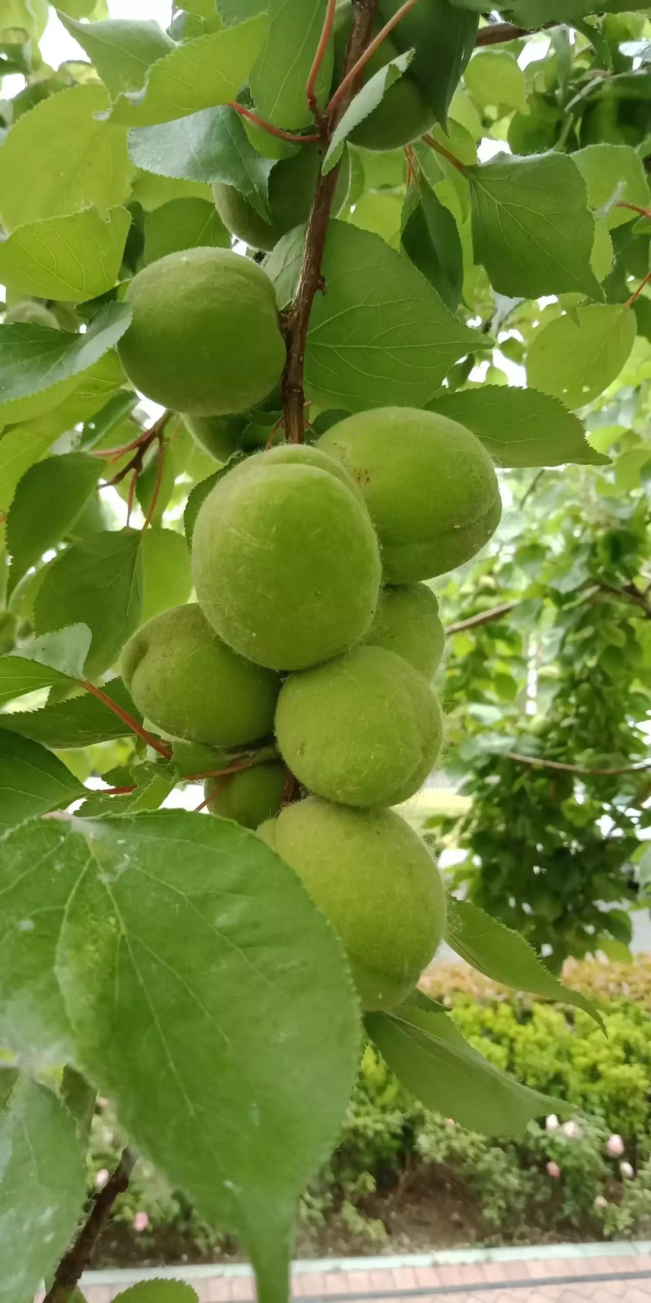 不要长时间与别人微信视频通话，有可能会耽误人家的事