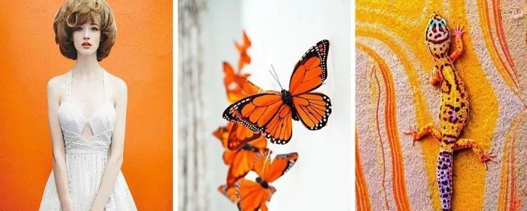 家庭装修哪些不建议网上买,装修避免网购