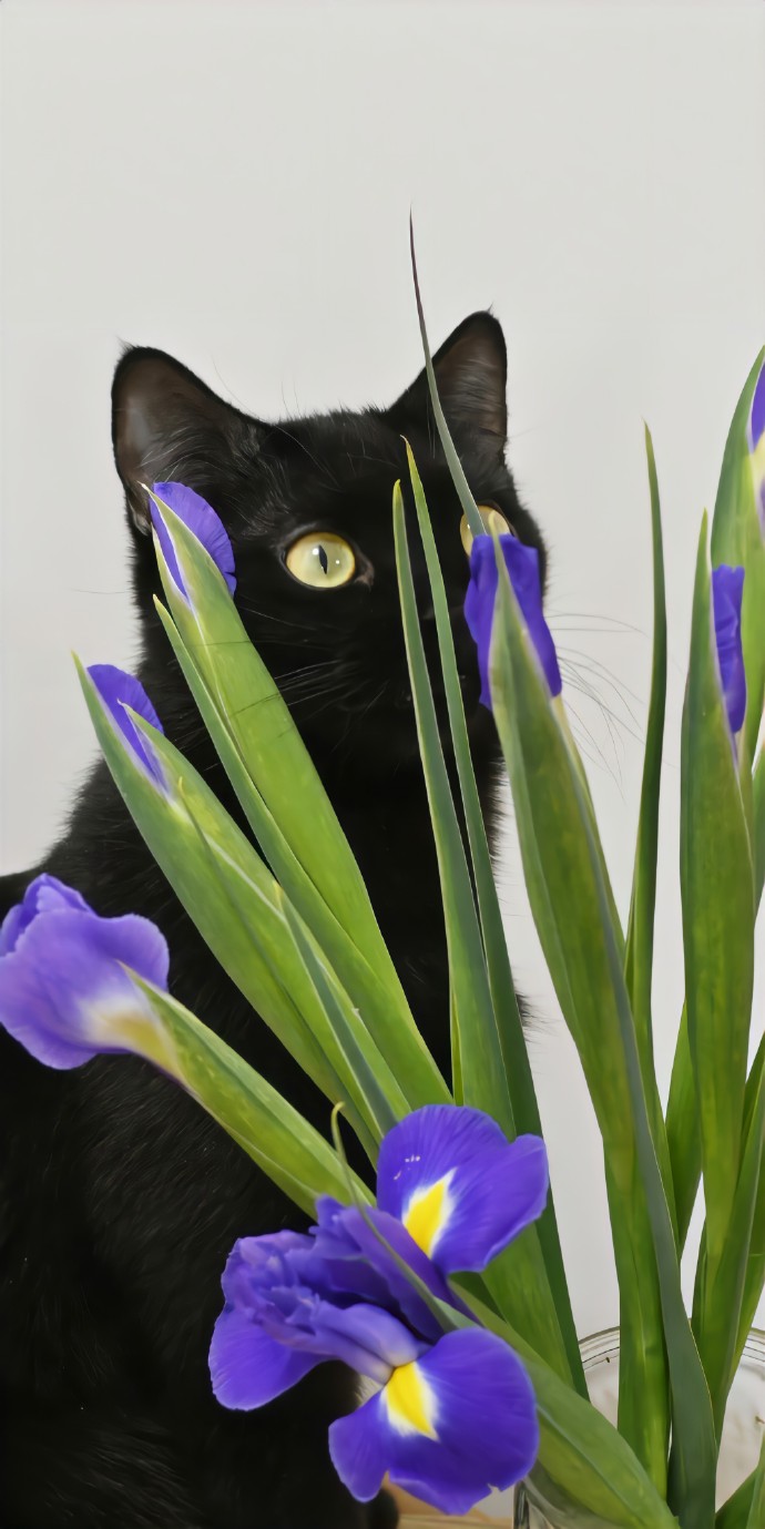 拒绝焦虑壁纸,高清壁纸不要花钱