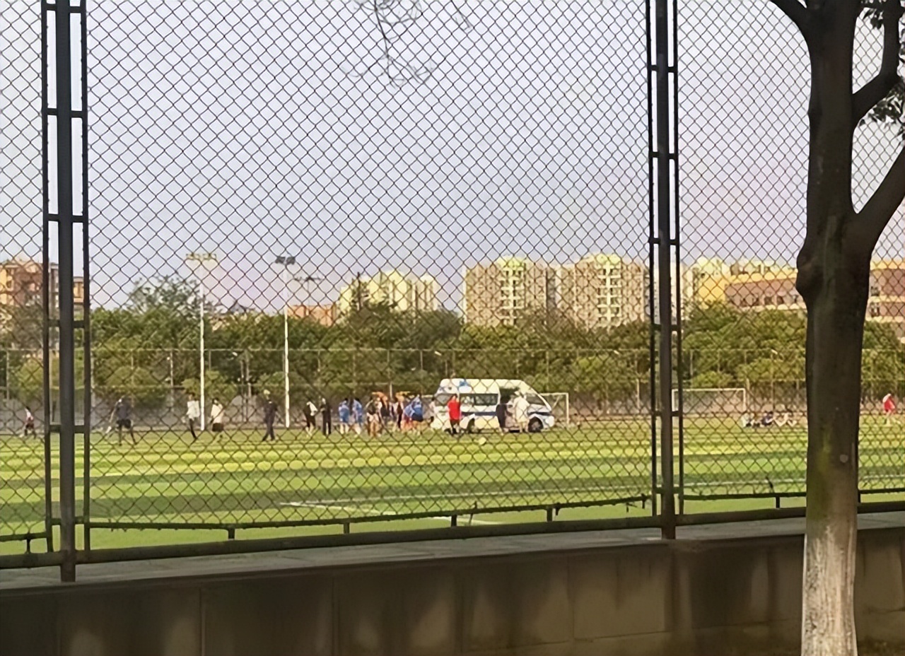 成都体育学院学生打人完整视频,川大被打学生后续