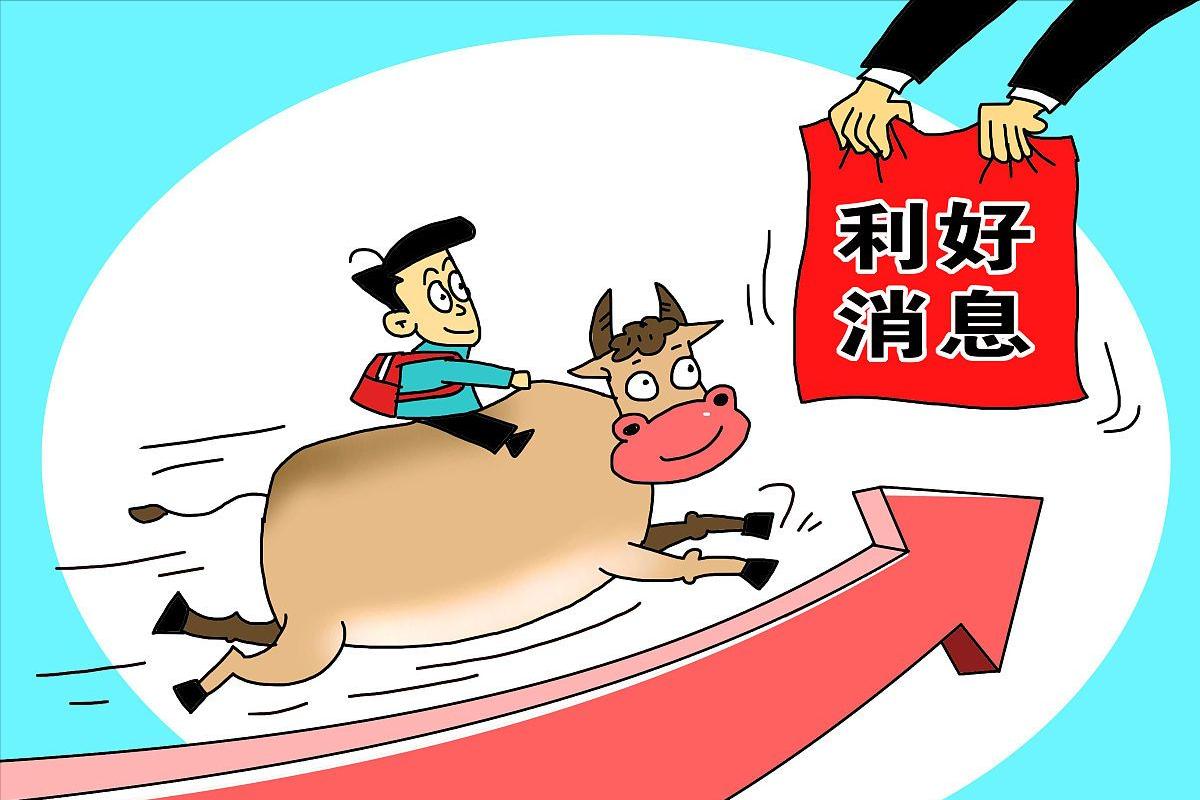 涨涨涨！生猪价格“一片红”，南北市场“齐上扬”！6月16日猪价