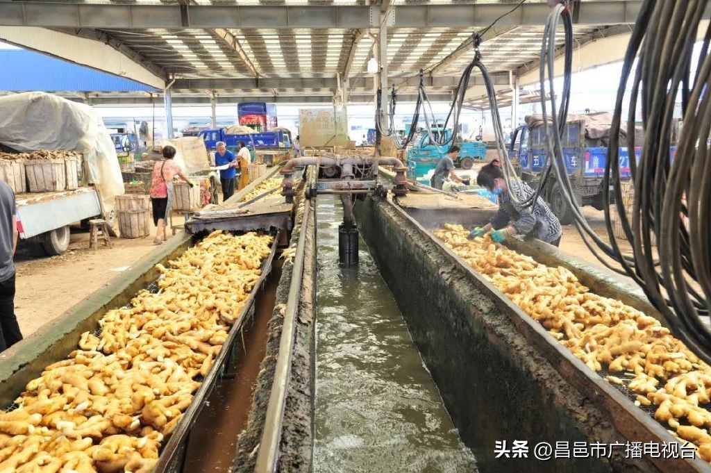 这才是潍坊（“好品潍坊”篇）