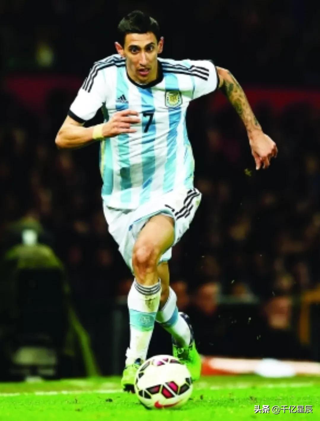 翱翔雄心解析,翱翔雄心简介