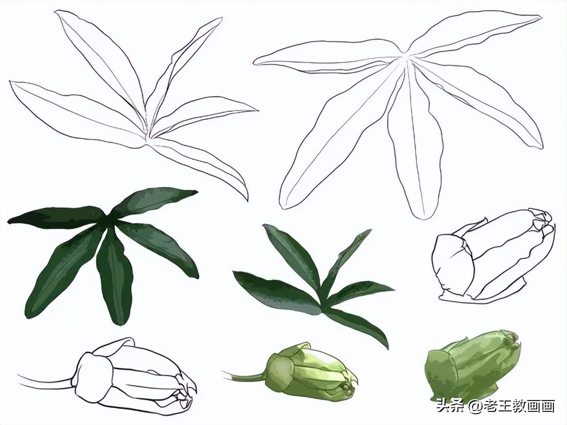 100种绘画基础入门,100幅零基础绘画教程