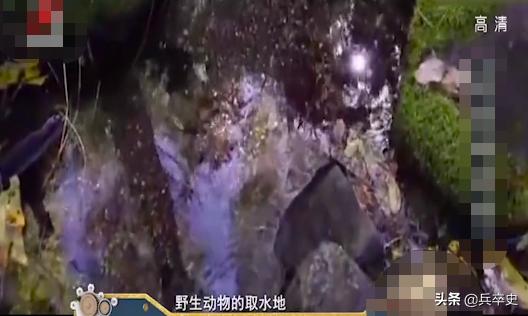 野猪林神秘事件,吉林野猪林灵异事件