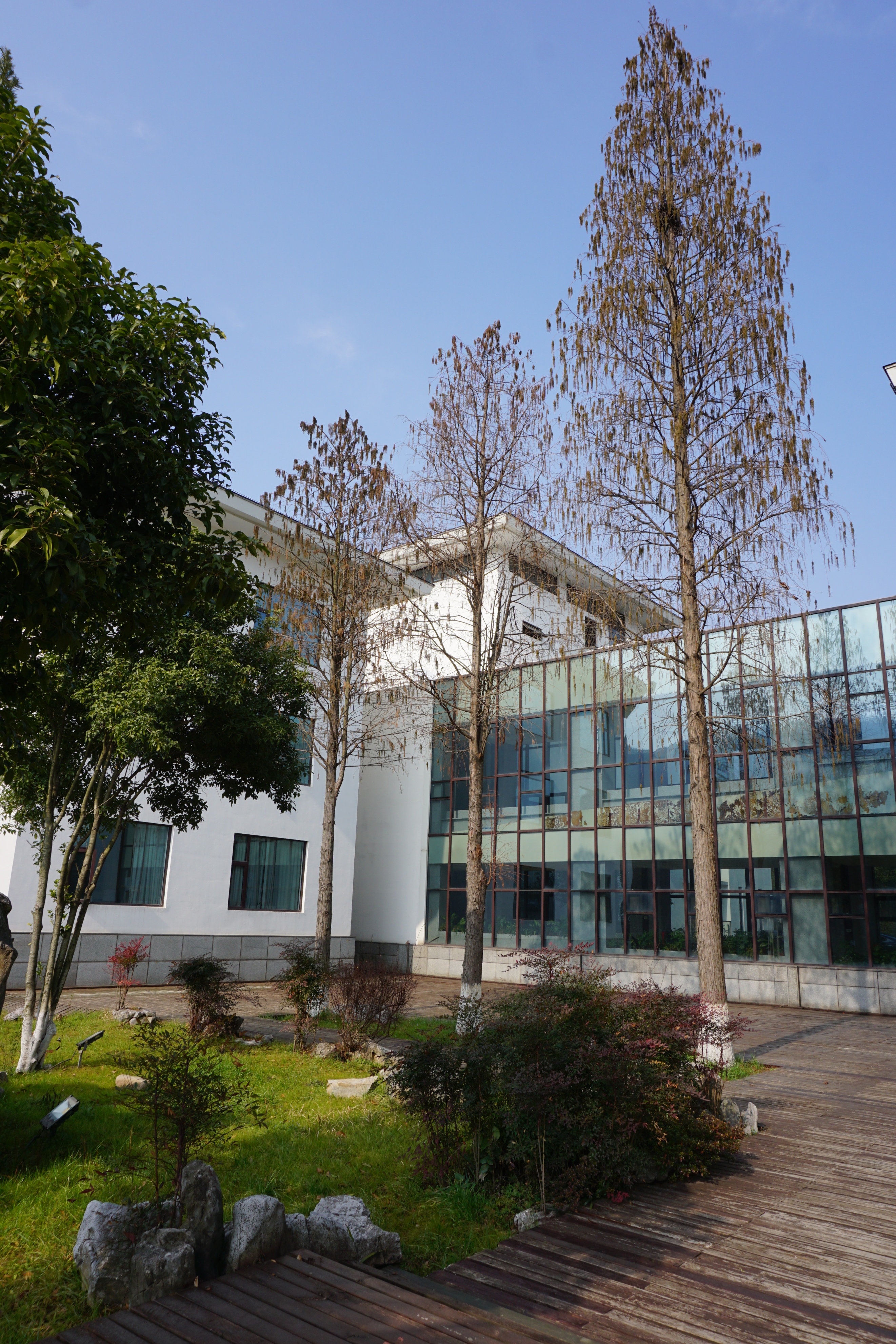 南京人看杭州,南京紫金山庄在哪里