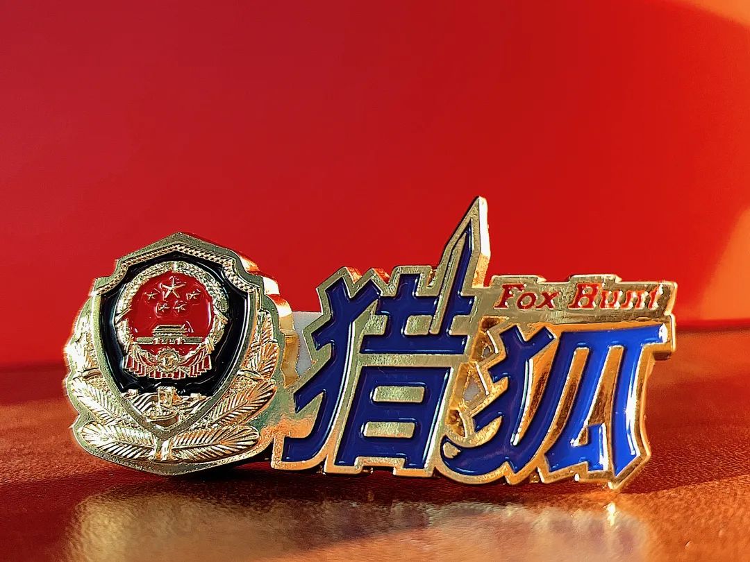 百日行动警方查处,百日行动公安持续破案