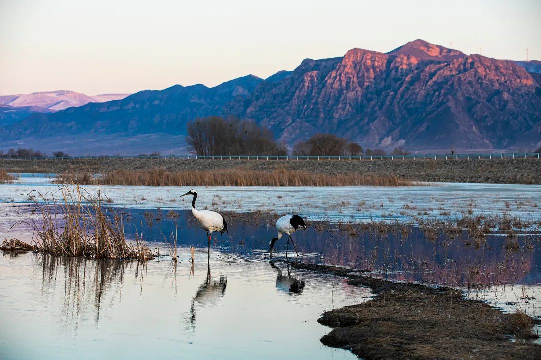 迎接党的20大美术作品,喜迎二十大乡村摄影展